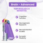 Brain - Advanced
