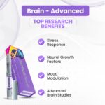 Brain - Advanced