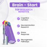 Brain - Start