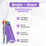 Brain - Start
